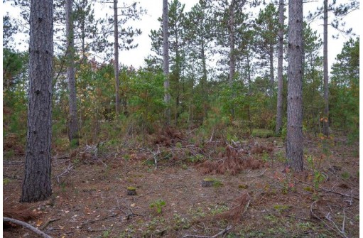 LOT 3 Bollig Court, Nekoosa, WI 54457