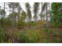 LOT 3 Bollig Court, Nekoosa, WI 54457