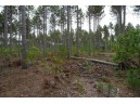 LOT 3 Bollig Court, Nekoosa, WI 54457