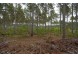 LOT 3 Bollig Court Nekoosa, WI 54457