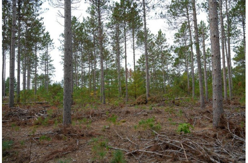 LOT 3 Bollig Court, Nekoosa, WI 54457