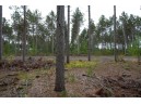 LOT 3 Bollig Court, Nekoosa, WI 54457