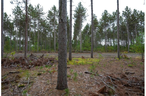 LOT 3 Bollig Court, Nekoosa, WI 54457