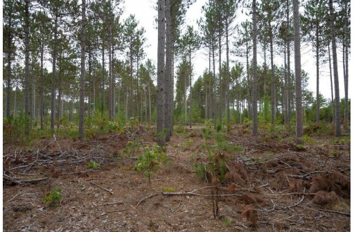 LOT 3 Bollig Court, Nekoosa, WI 54457