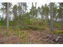 LOT 3 Bollig Court, Nekoosa, WI 54457