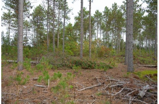 LOT 3 Bollig Court, Nekoosa, WI 54457