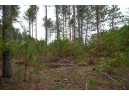 LOT 3 Bollig Court, Nekoosa, WI 54457