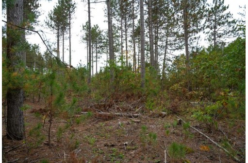 LOT 3 Bollig Court, Nekoosa, WI 54457