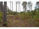 LOT 3 Bollig Court, Nekoosa, WI 54457