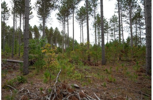 LOT 3 Bollig Court, Nekoosa, WI 54457