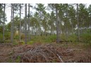 LOT 3 Bollig Court, Nekoosa, WI 54457