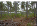 LOT 3 Bollig Court, Nekoosa, WI 54457