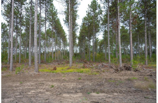 LOT 3 Bollig Court, Nekoosa, WI 54457