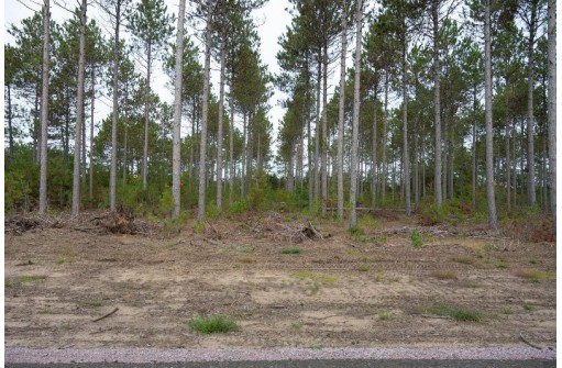 LOT 3 Bollig Court, Nekoosa, WI 54457