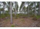 LOT 3 Bollig Court, Nekoosa, WI 54457