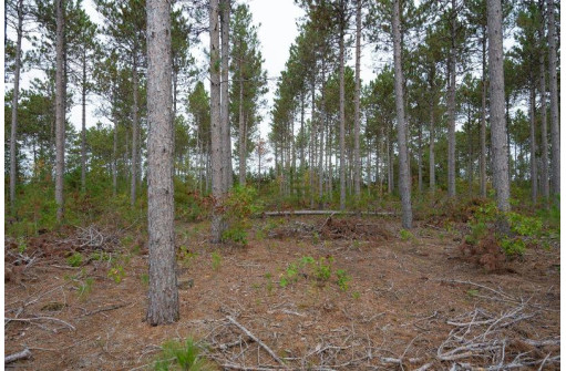 LOT 3 Bollig Court, Nekoosa, WI 54457