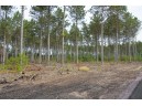 LOT 4 Bollig Court, Nekoosa, WI 54457