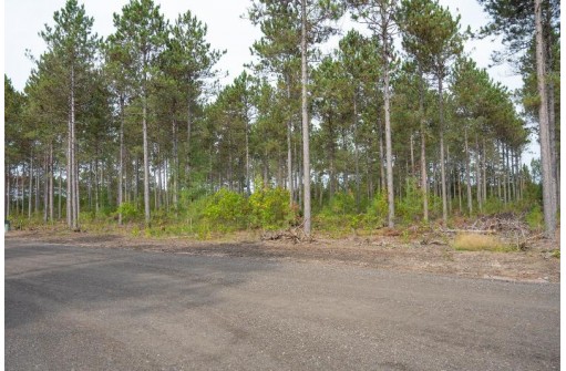 LOT 4 Bollig Court, Nekoosa, WI 54457