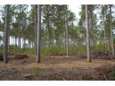 LOT 4 Bollig Court, Nekoosa, WI 54457