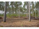 LOT 4 Bollig Court, Nekoosa, WI 54457