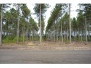 LOT 4 Bollig Court, Nekoosa, WI 54457