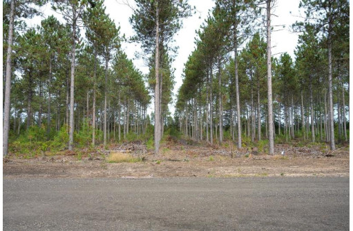 LOT 4 Bollig Court, Nekoosa, WI 54457