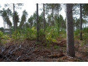 LOT 4 Bollig Court, Nekoosa, WI 54457