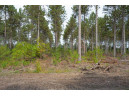 LOT 4 Bollig Court, Nekoosa, WI 54457