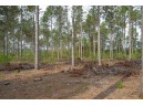 LOT 4 Bollig Court, Nekoosa, WI 54457