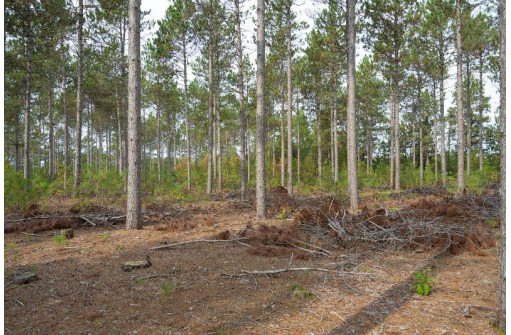 LOT 4 Bollig Court, Nekoosa, WI 54457