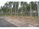 LOT 4 Bollig Court, Nekoosa, WI 54457