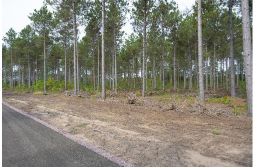 LOT 4 Bollig Court, Nekoosa, WI 54457