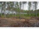 LOT 4 Bollig Court, Nekoosa, WI 54457