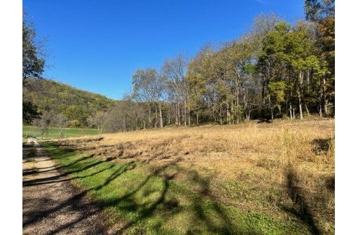 00 Coon Rock Road, Arena, WI 53503