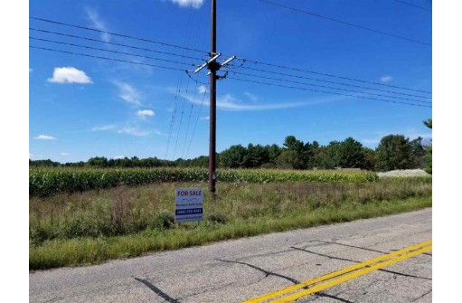 36.61 AC River Road, Wisconsin Dells, WI 53965