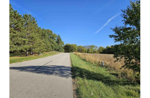 LOT 2 Junction Road, Reedsburg, WI 53958