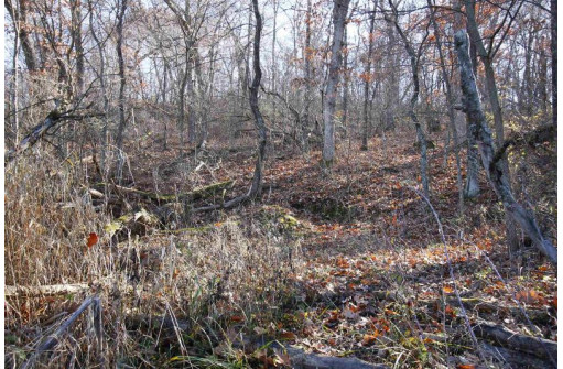 LOT 22 Blue Vista Lane, New Glarus, WI 53574