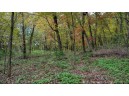 3.11 ACRES Delmore Road, Lyndon Station, WI 53944