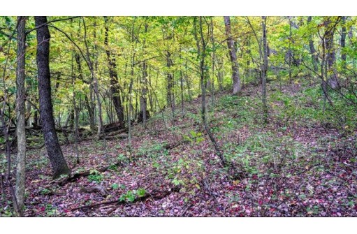 3.11 ACRES Delmore Road, Lyndon Station, WI 53944