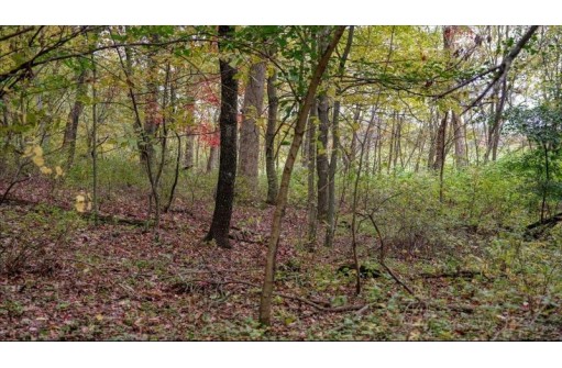 3.11 ACRES Delmore Road, Lyndon Station, WI 53944