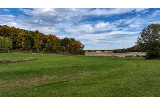 3.11 ACRES Delmore Road, Lyndon Station, WI 53944