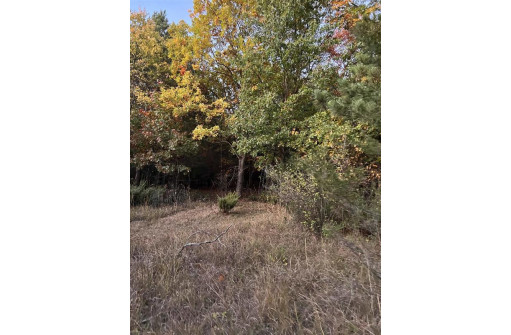 2.52 ACRES County Road F, Wautoma, WI 54982