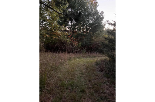 2.52 ACRES County Road F, Wautoma, WI 54982