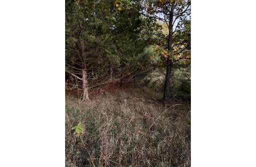 2.52 ACRES County Road F, Wautoma, WI 54982