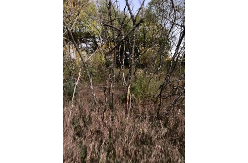 2.52 ACRES County Road F, Wautoma, WI 54982