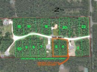 0.87 ACRES Sandy Pines