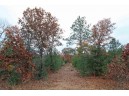 LOT20 Timber Trail, Spring Green, WI 53588