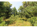 LOT20 Timber Trail, Spring Green, WI 53588