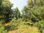 LOT20 Timber Trail Spring Green, WI 53588