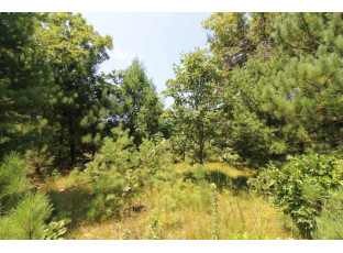 LOT20 Timber Trail Spring Green, WI 53588